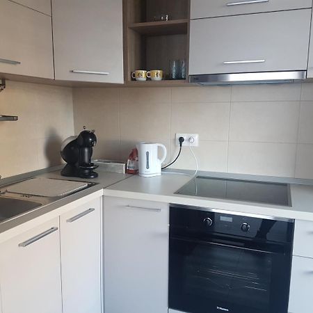 Exquisite Apartament Брашов Экстерьер фото