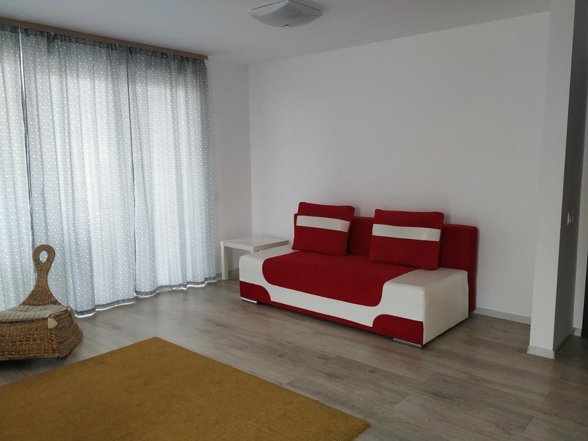 Exquisite Apartament Брашов Экстерьер фото
