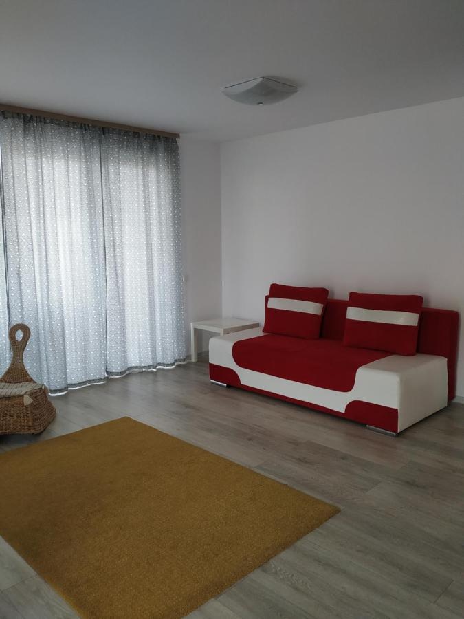 Exquisite Apartament Брашов Экстерьер фото