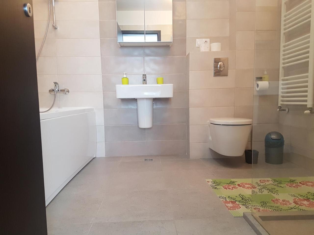 Exquisite Apartament Брашов Экстерьер фото
